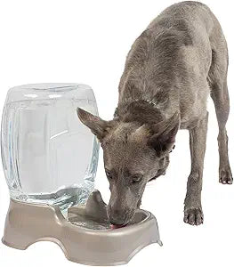 Large Capacity Gravity Pet Water Dispenser with Easy-Carry Cutouts – Automatic Refill Design for Cats & Dogs